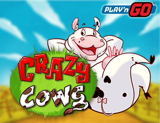 Crazy Cows