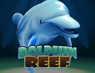 Dolphin Reef