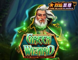 Fire Blaze: Green Wizard