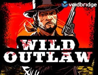 Wild Outlaw