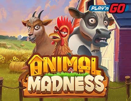 Animal Madness