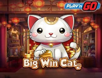 Big Win Cat